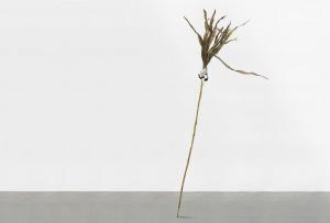 Non sono il burattino del cielo, 2015. Gambo di mais, terra, carta, cm 220 x 90 x 100