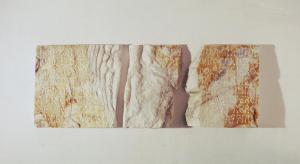 Ossa di Shelley, Petrarca Rime, 1996, 83 x 30 x 7 cm