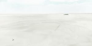 Normandy T30, Francesco Jodice, 2000. Dimensioni 75x150 cm