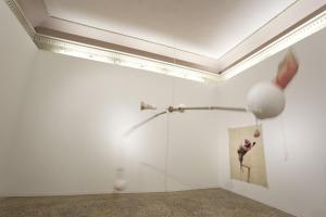 Interni e..., Silvano Tessarollo, 2011, installation view