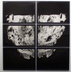 Michael Hoepner, Lie down, get up, walk on (snowleopard), 2015
