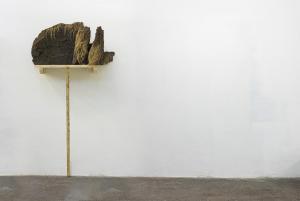 Anatomia del paesaggio 2, 2015. Terra, erba, semi, struttura in legno, cm 47 x 118 x 42