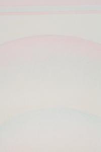 Leggerissima e insieme forte, Riccardo Guarneri, 2016, particolare