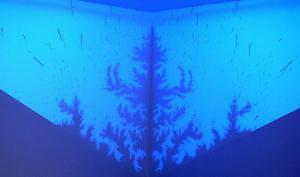 Black Light Selva, Eric Winarto
