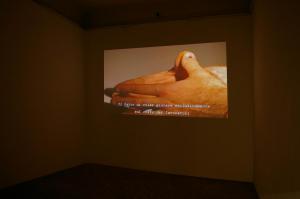 THE AMERICAN BROTHERS,Sandro Mele, 2013, frame da video