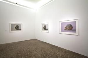 Death In Venice, Damien Hirst, 2010, installation view