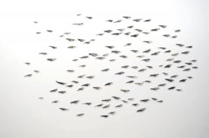 Byrds, Andrea Frank, 2011