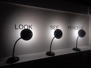 Look, See, Perceive