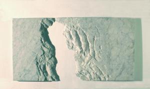 Ossa di Shelley, Montale, 2006, 110 x 55 x 3 cm