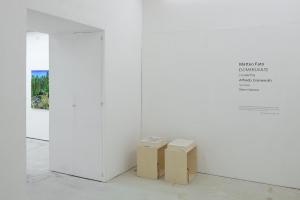 SOMERSAULT installation view ingresso