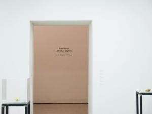 Ryts Monet, Installation View
