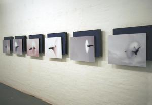 Complesse Sparizioni, Mauro Ghiglione, Europa, 2015