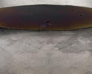 La materia delle cose, 2015. Pioggia, fango, muschio, fogliame, acqua, alloggiamento in resina, cm 9 x 172 x 90