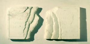 5) Ossa di Shelley, Omero Odissea V (Pindemonte), 2008, 100 x 46 x 5 cm