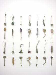 Pistils and Stamen, Andrea Frank, 2012