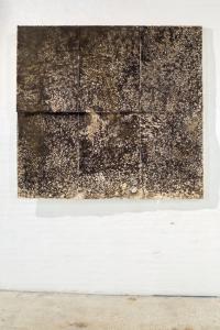 Se l'acqua non trova radici, Silvano Tessarollo, 2016,