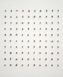 Bees, Andrea Frank, 2012