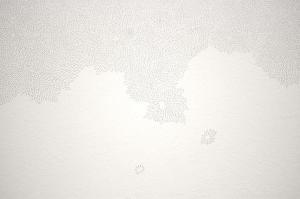 Disruption Pattern, David Rickard, 2012