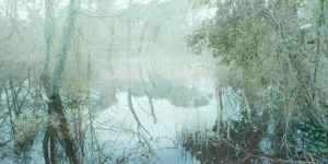 Venezia. The Precursors Legacy, #002, Francesco Jodice, 2013.