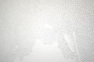 Disruption Pattern, David Rickard, 2012