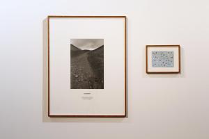 Hamish Fulton, Migrant Volcano
