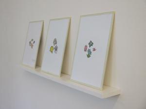 Riserva Aurea, Banconote, carta, vetro, 29 x 40,5 cm, 2017