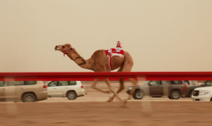 Francesco Jodice, Dubai_Citytellers, 2010