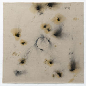 Mariateresa Sartori_Wind on plant 4_81,5 x 81,5 cm_charcoal powder, linseed oil, houseplant and wind on canvas_2024