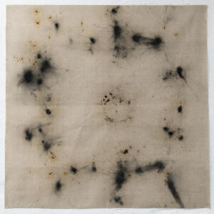 Mariateresa Sartori_Wind on plant_120 x 120 cm_charcoal powder, linseed oil, houseplant and wind on canvas_2024