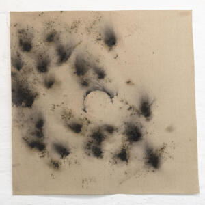 Mariateresa Sartori_Wind on plant_81,5 x 81,5 cm_charcoal powder, linseed oil, houseplant and wind on canvas_2024