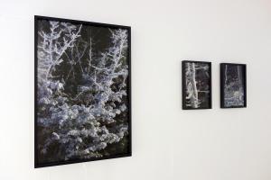 Together we stand!, Quayola, installation view