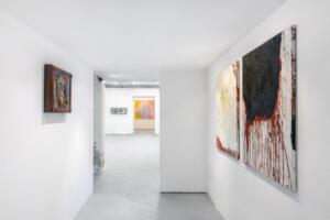 Claudio Costa | Hermann Nitsch, installation view 2021. Foto di Enrico Fiorese