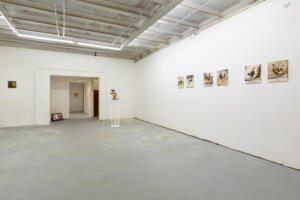 Giuseppe Abate, Here comes the rooster (installation view), 2022