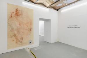 Michael Höpfner, Unfinished Walks, 2022 (installation view). Photo by Sergio Martucci.