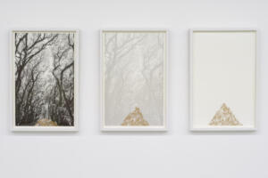 Marcela Cernadas, Tears, Triptych, 2022, risograph, 42 x 27,5 cm ognuna, Ed. 5 + 1 AP