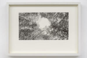 Marcela Cernadas, Once upon a time, 2022, risograph 21 x 29,7 cm, Ed. 5 + 1 AP