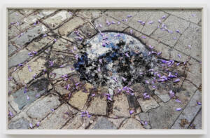 Marcela Cernadas, Ephemeral, 2022, stampa fine art su carta cotone 31,3 x 50 cm, Ed. 5 + 1 AP