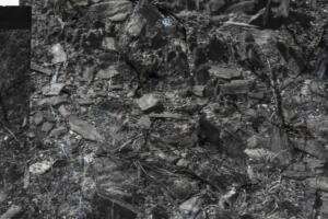 Michael Höpfner, Walk and bow to the earth II – retracing my own steps (detail), 2022, silver gelatine prints, 239 x 202 cm. Photo by Sergio Martucci.