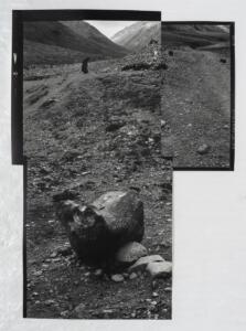 Michael Höpfner, Walk and bow to the earth I, 2022, silver gelatine prints, 181,5 x 248 cm. Photo by Sergio Martucci.