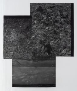 Michael Höpfner, Walk and bow to the earth II – retracing my own steps, 2022, silver gelatine prints, 239 x 202 cm. Photo by Sergio Martucci.