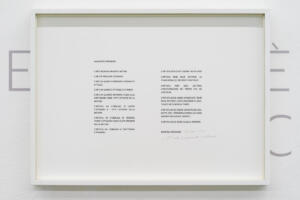 Marcela Cernadas, Manifesto Effimero, 2022, stampa fine art su carta cotone 33,4 x 45,7 cm, Opera unica
