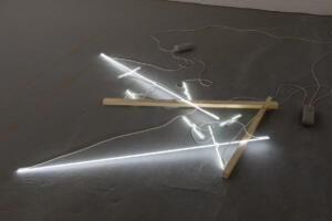 Ludovico Bomben, Ferula, 2016, neon, dimensioni variabili