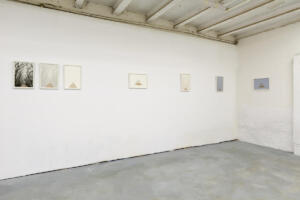 Bello Mondo, installation view (2022). Foto di Sergio Martucci.