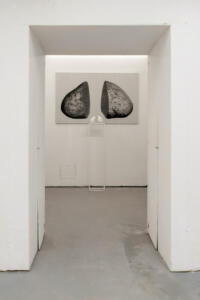Bello Mondo, installation view (2022). Foto di Sergio Martucci.