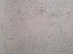 IMG 20191210 110201