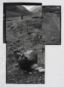 Michael Höpfner, Walk and bow to the earth I, 2022, silver gelatine prints, 181,5 x 248 cm