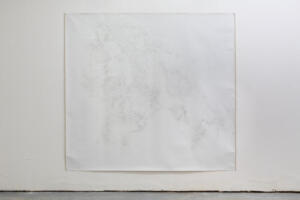 Michael Höpfner, Walking lines following the lines of an organism I, 2022, graphite on canvas, 199 x 216 cm