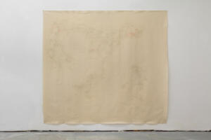 Michael Höpfner, Walking lines following the lines of an organism IV, 2022, graphite on canvas, 217 x 235 cm