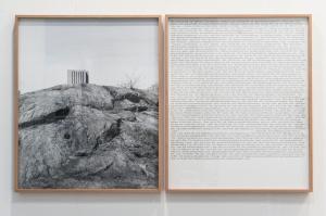 Notes for a book (Dear Michael,), 2017, stampa a getto d'inchiostro su carta Ultra Smooth. Ed. 2/3