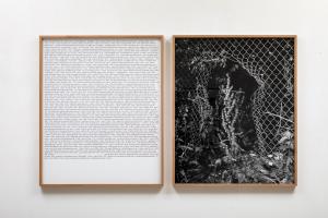 Antonio Rovaldi
Notes for a book (Dear Michael), 2018